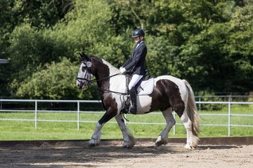 Bild 41 - Pony Akademie Turnier